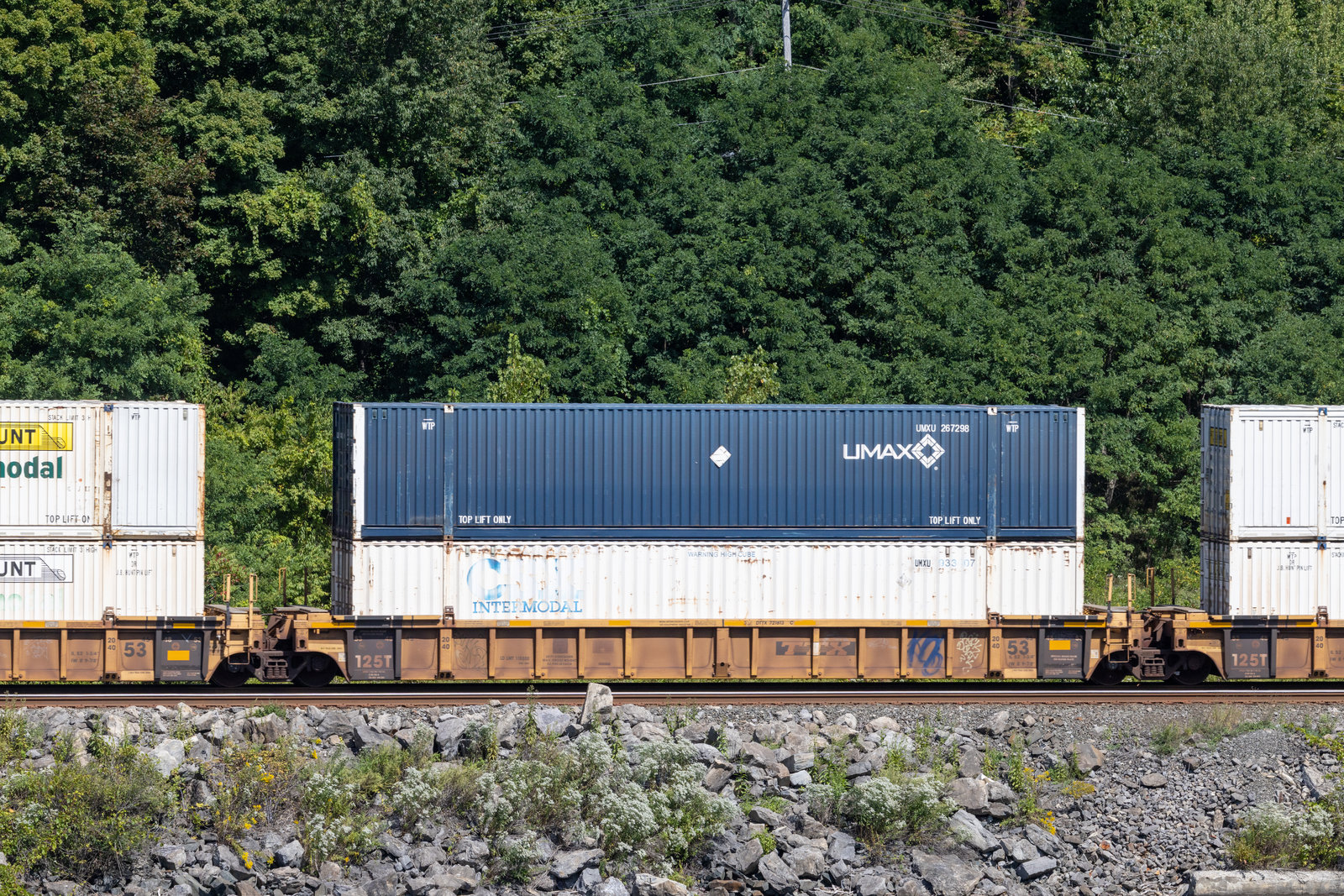 DTTX 721613C