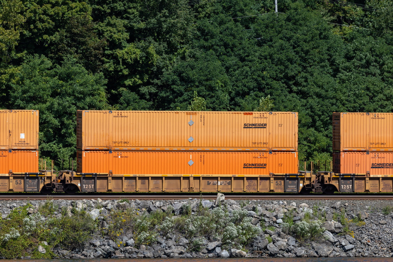DTTX 721546C