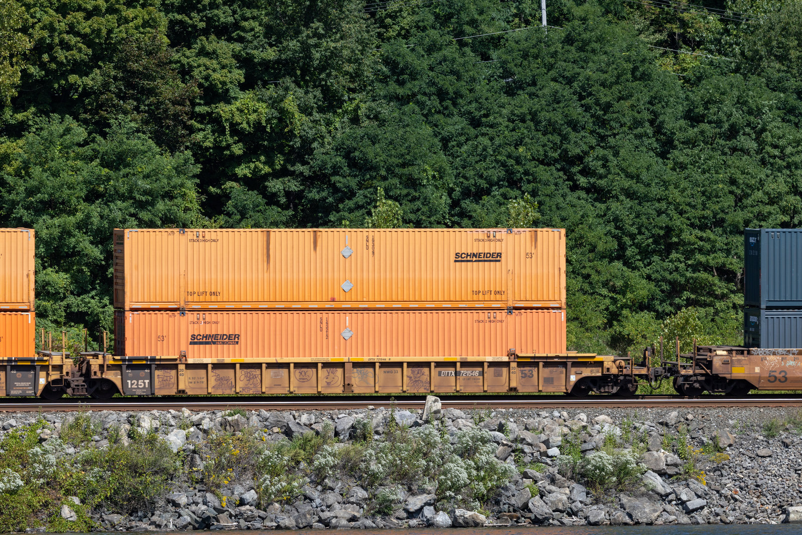 DTTX 721546B