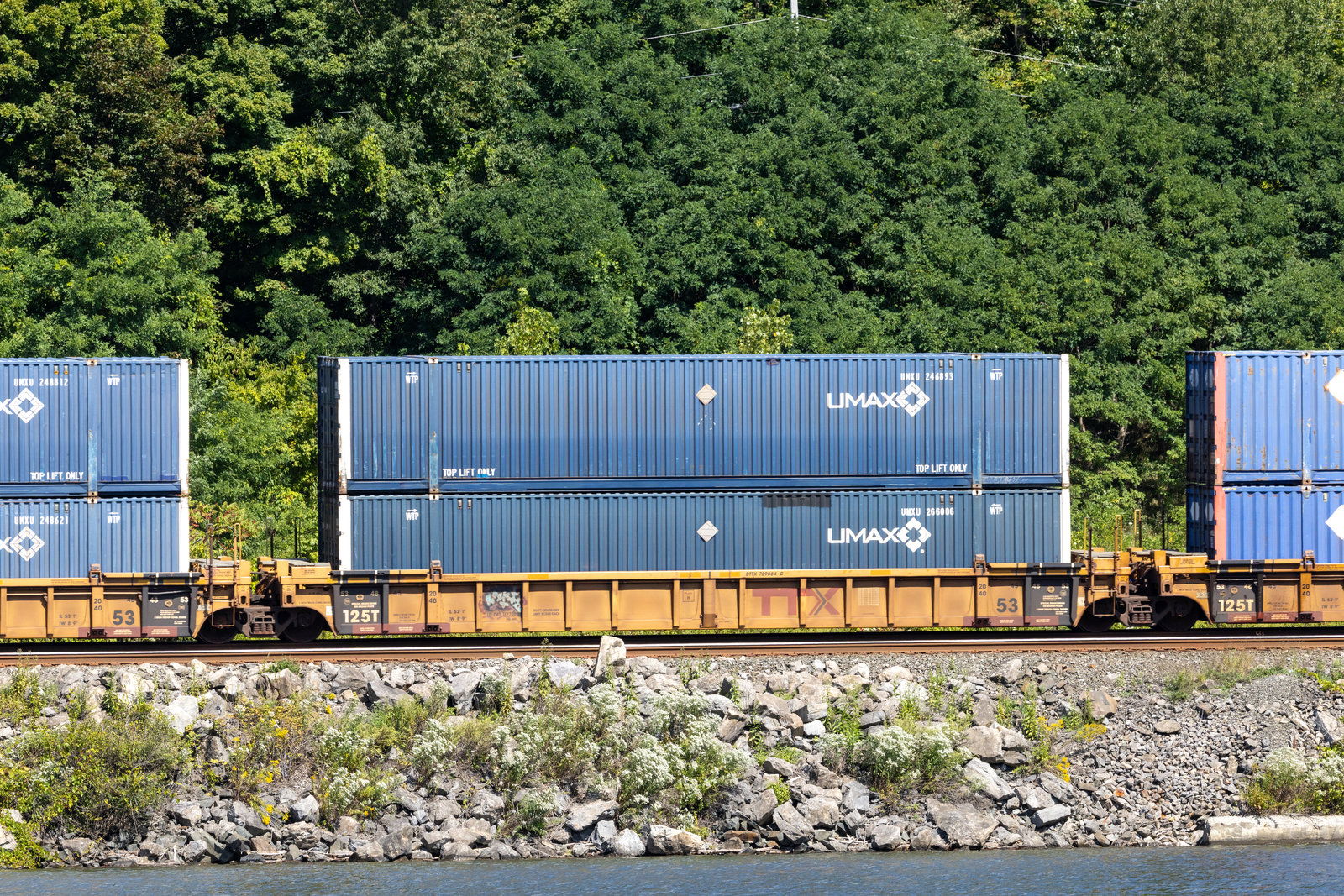 DTTX 789084C