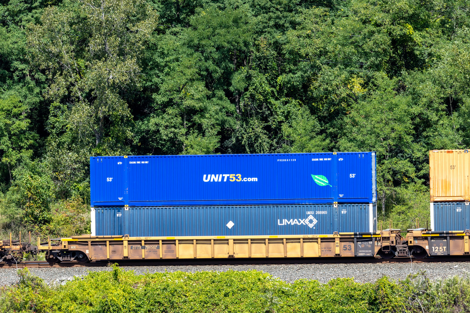 DTTX 786562A