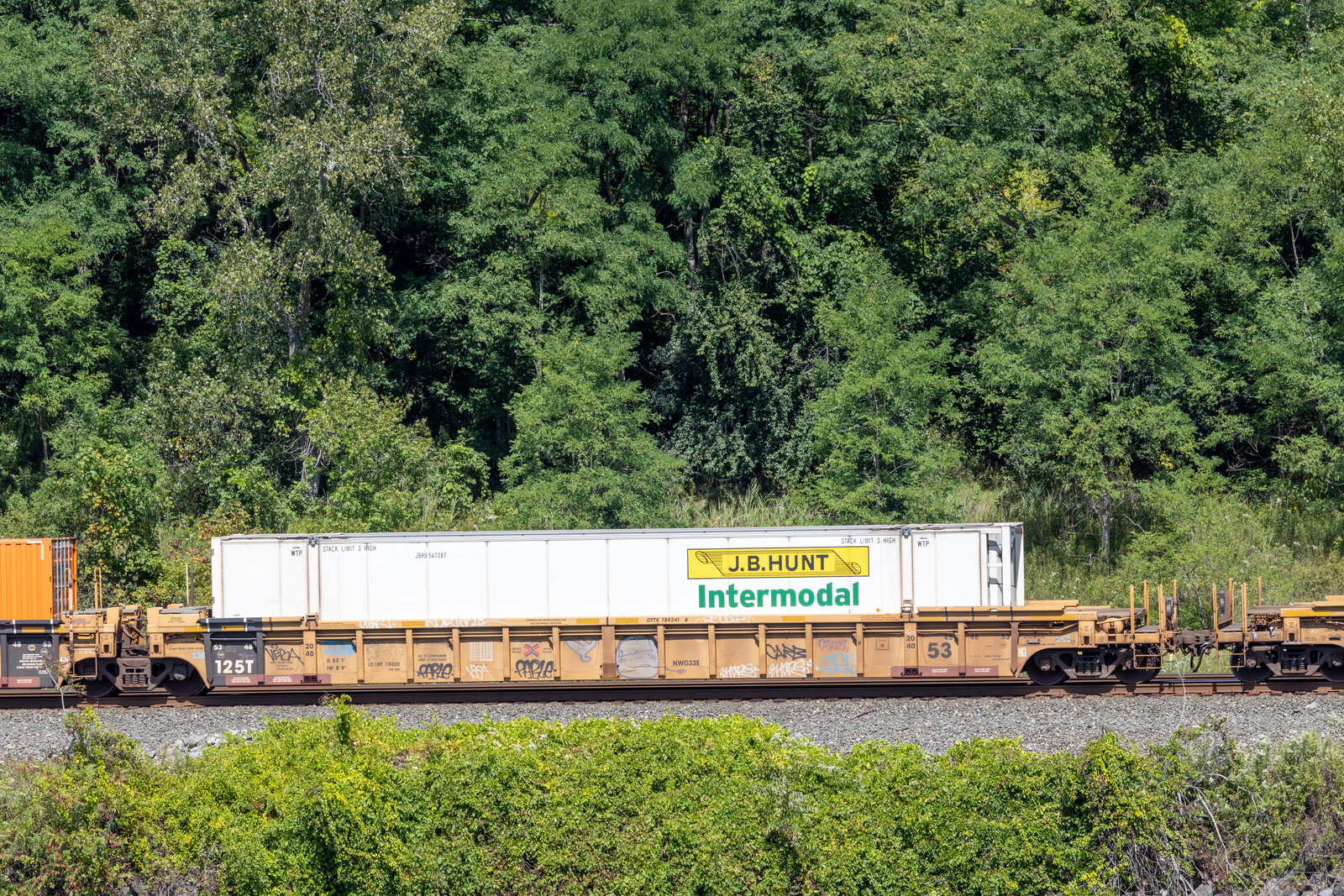 DTTX 789241B