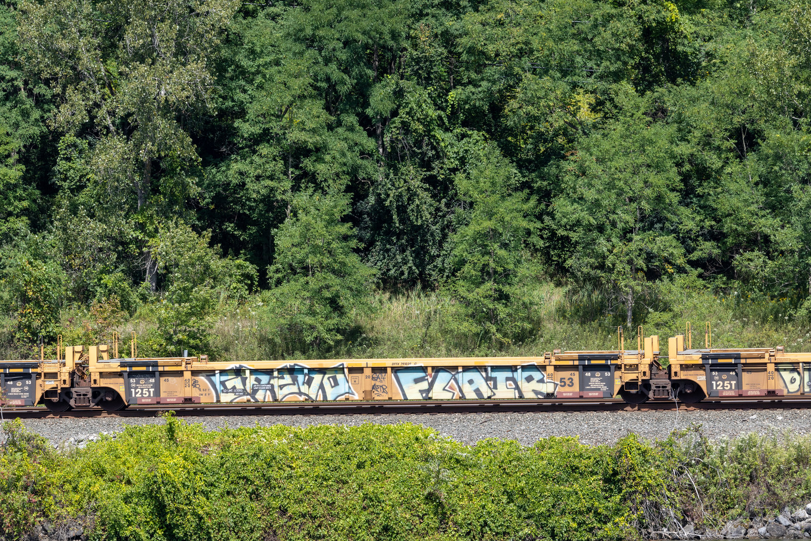 DTTX 791039C