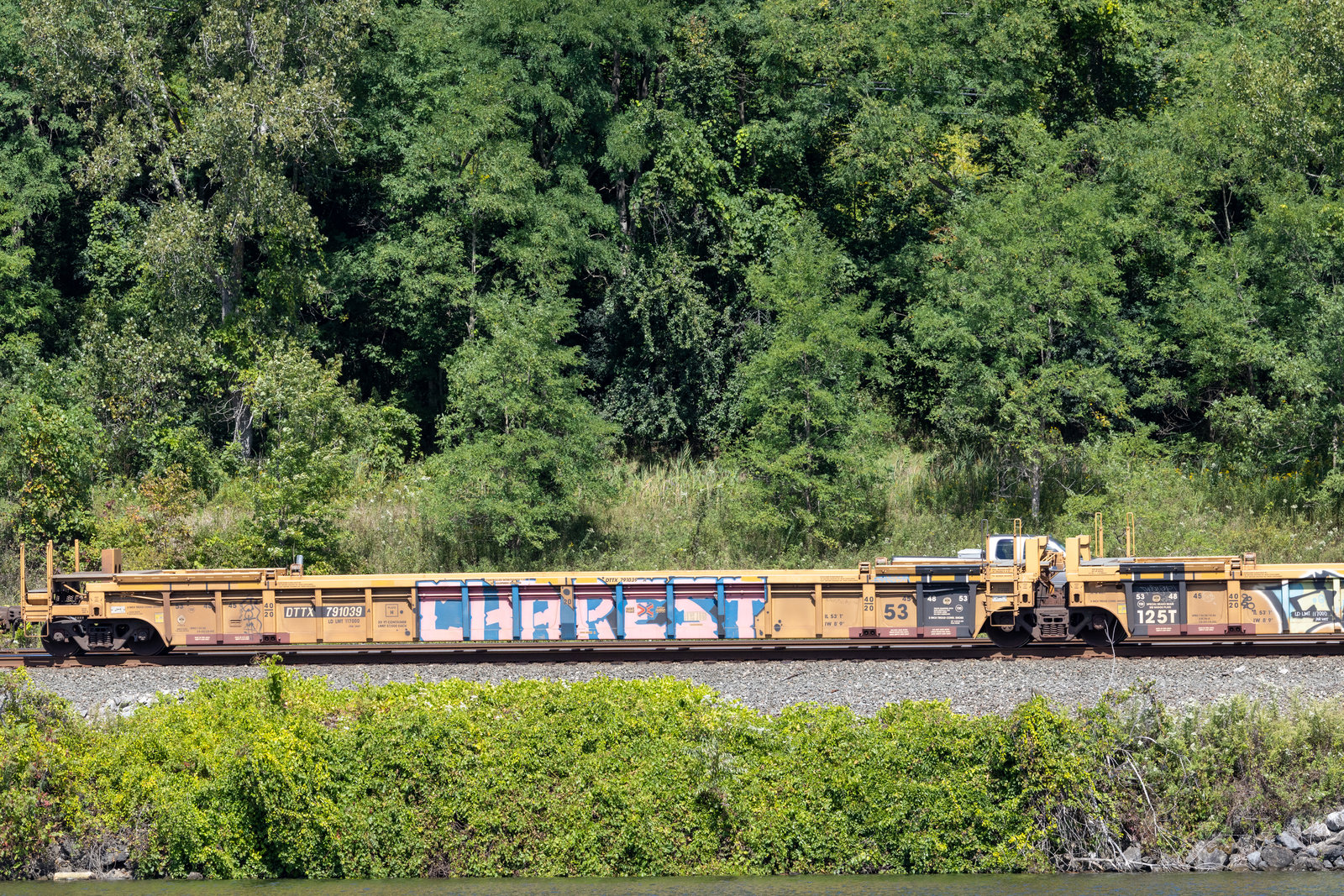 DTTX 791039A