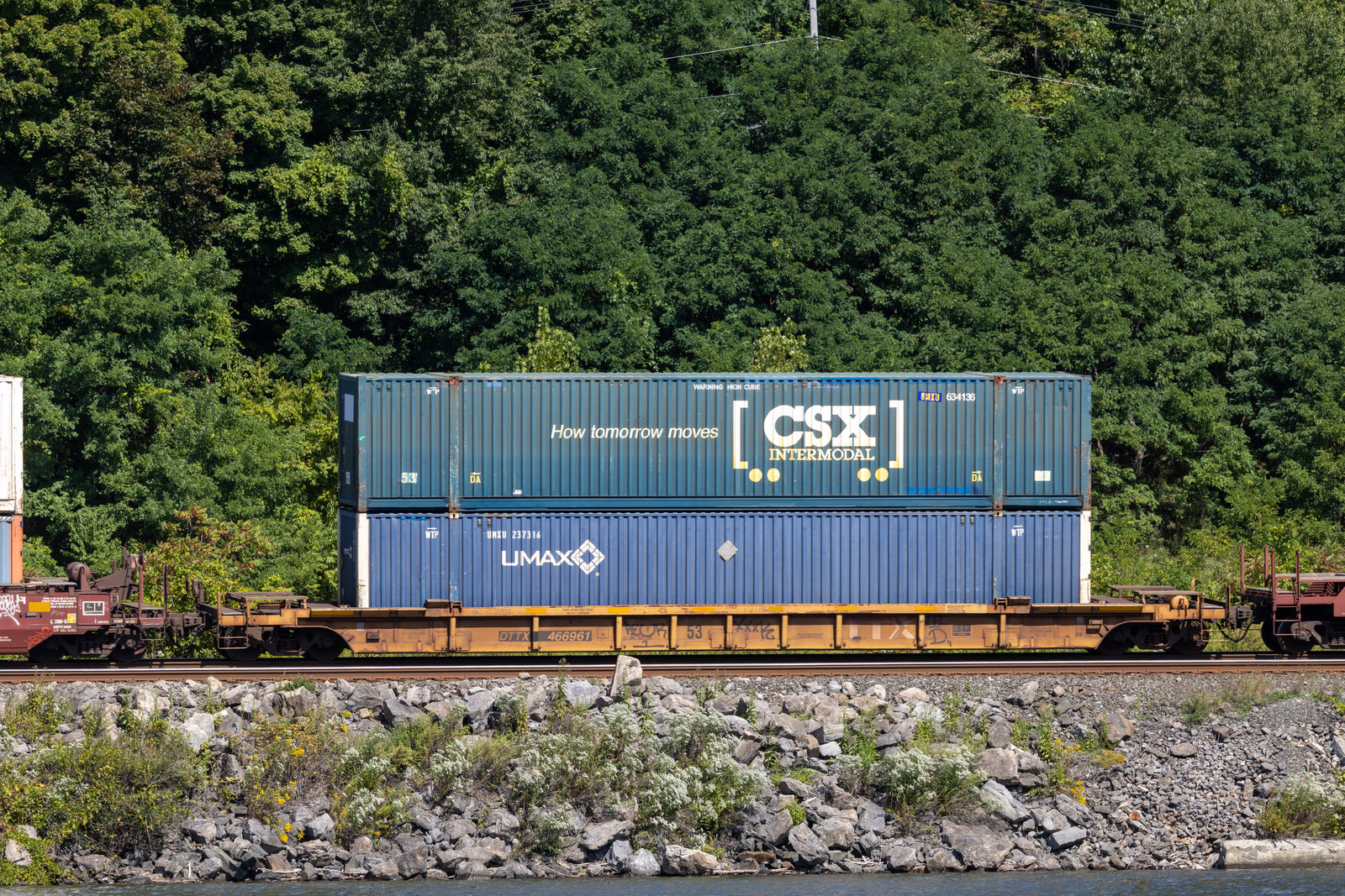 DTTX 466961