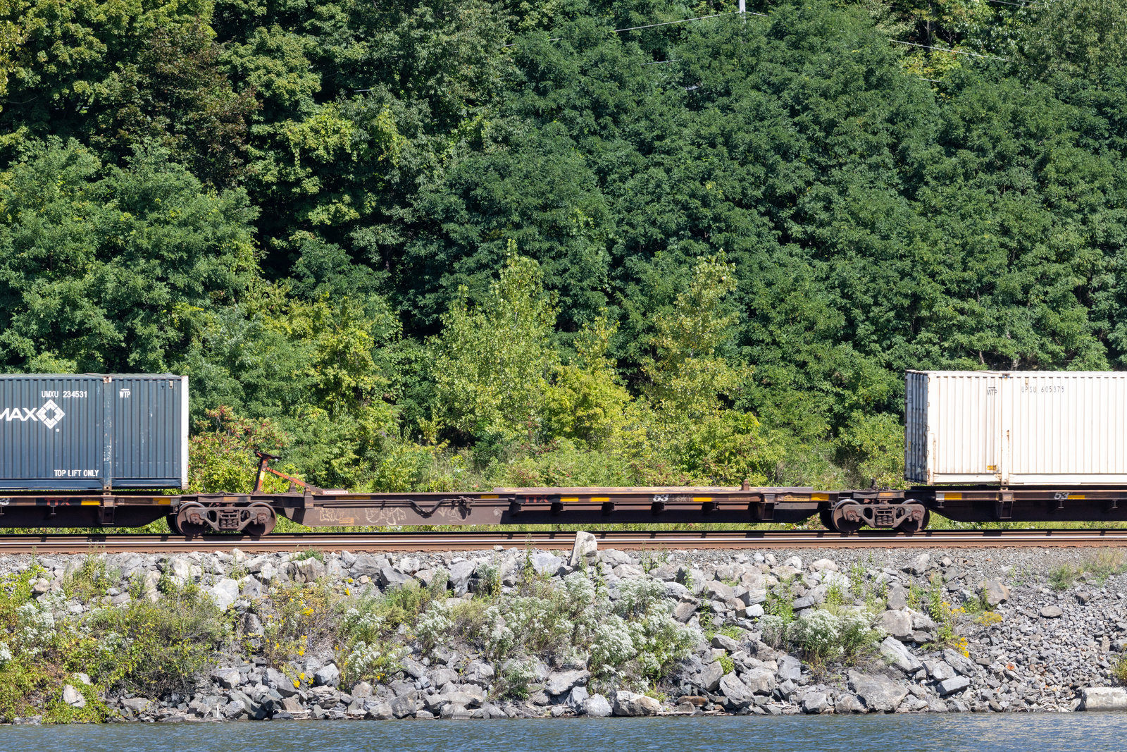 TTAX 554649E