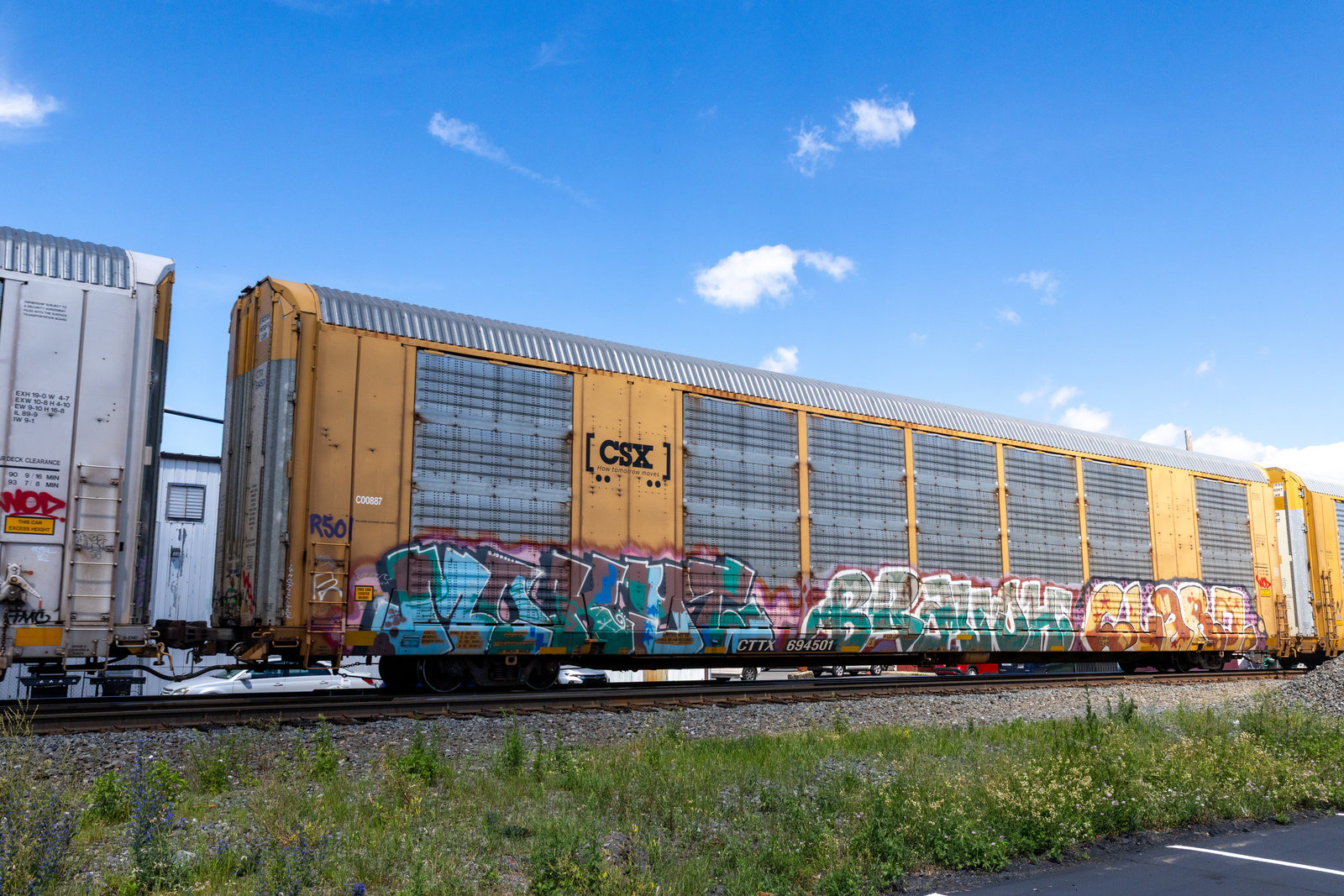 CTTX 694501