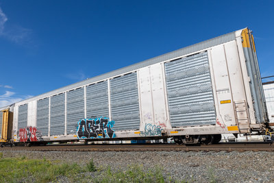 SFLC 307484