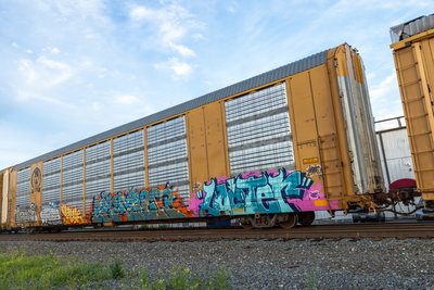 TTGX 822456