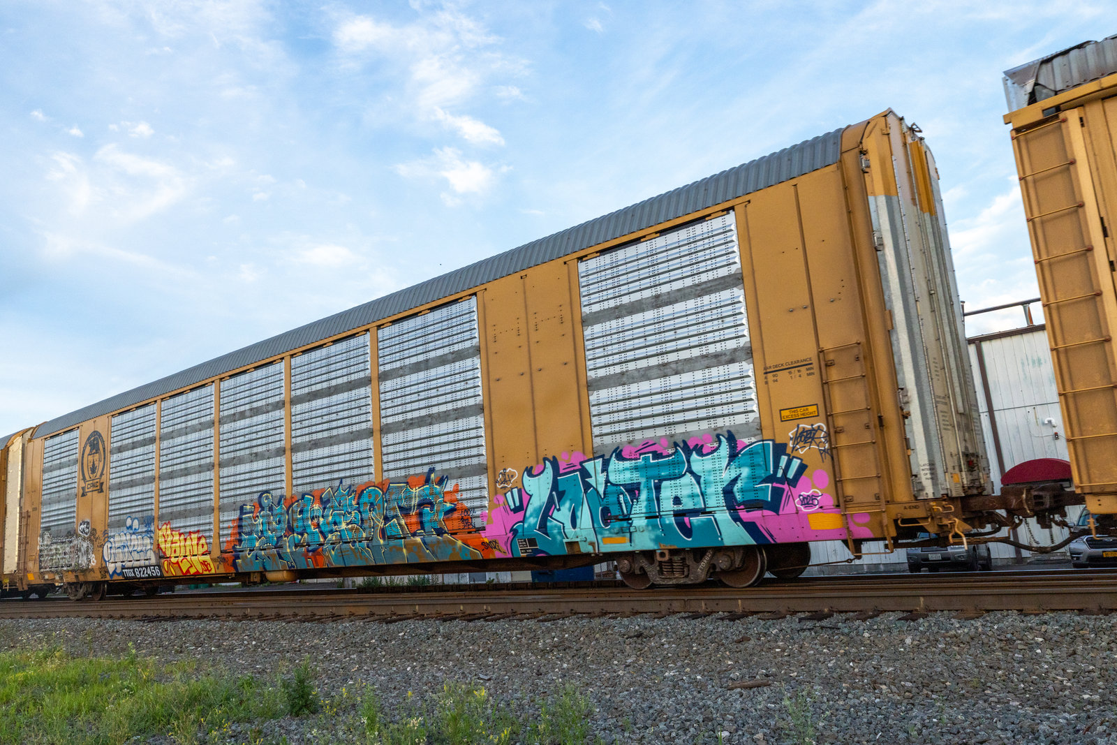 TTGX 822456