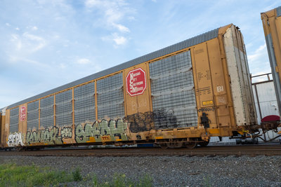 TTGX 691102