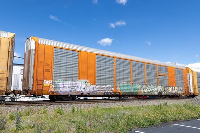 TTGX 693306