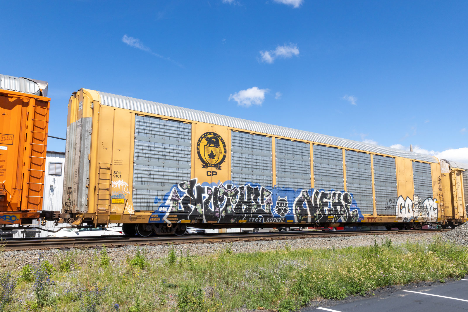TTGX 697872