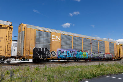 TTGX 694409