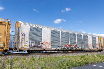 TTGX 698276