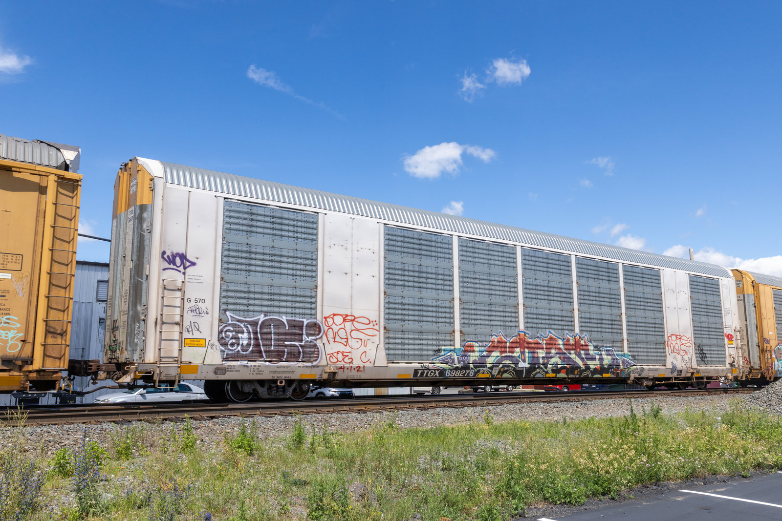 TTGX 698276