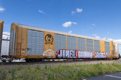 TTGX 822697