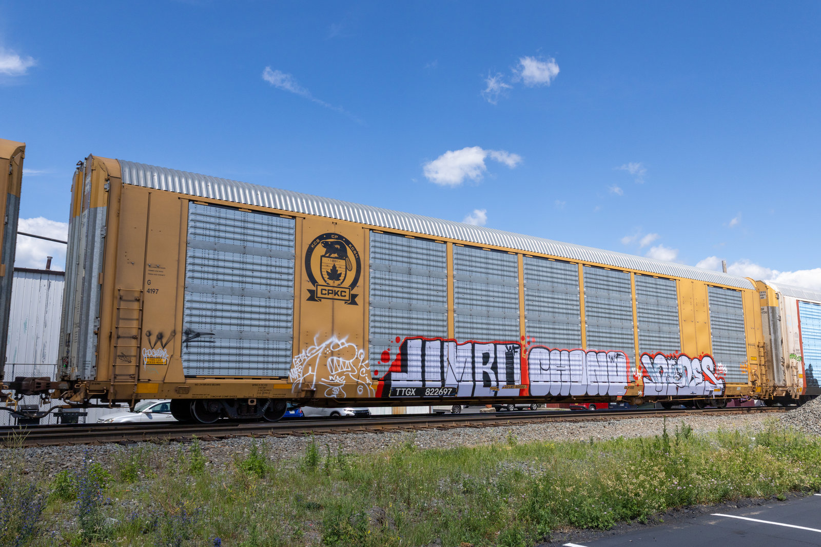 TTGX 822697
