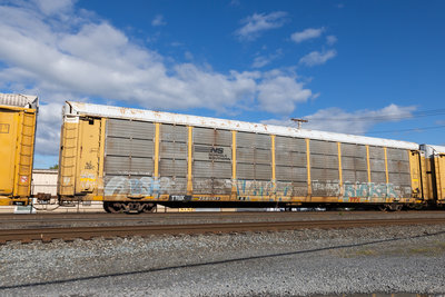 TTGX 256001