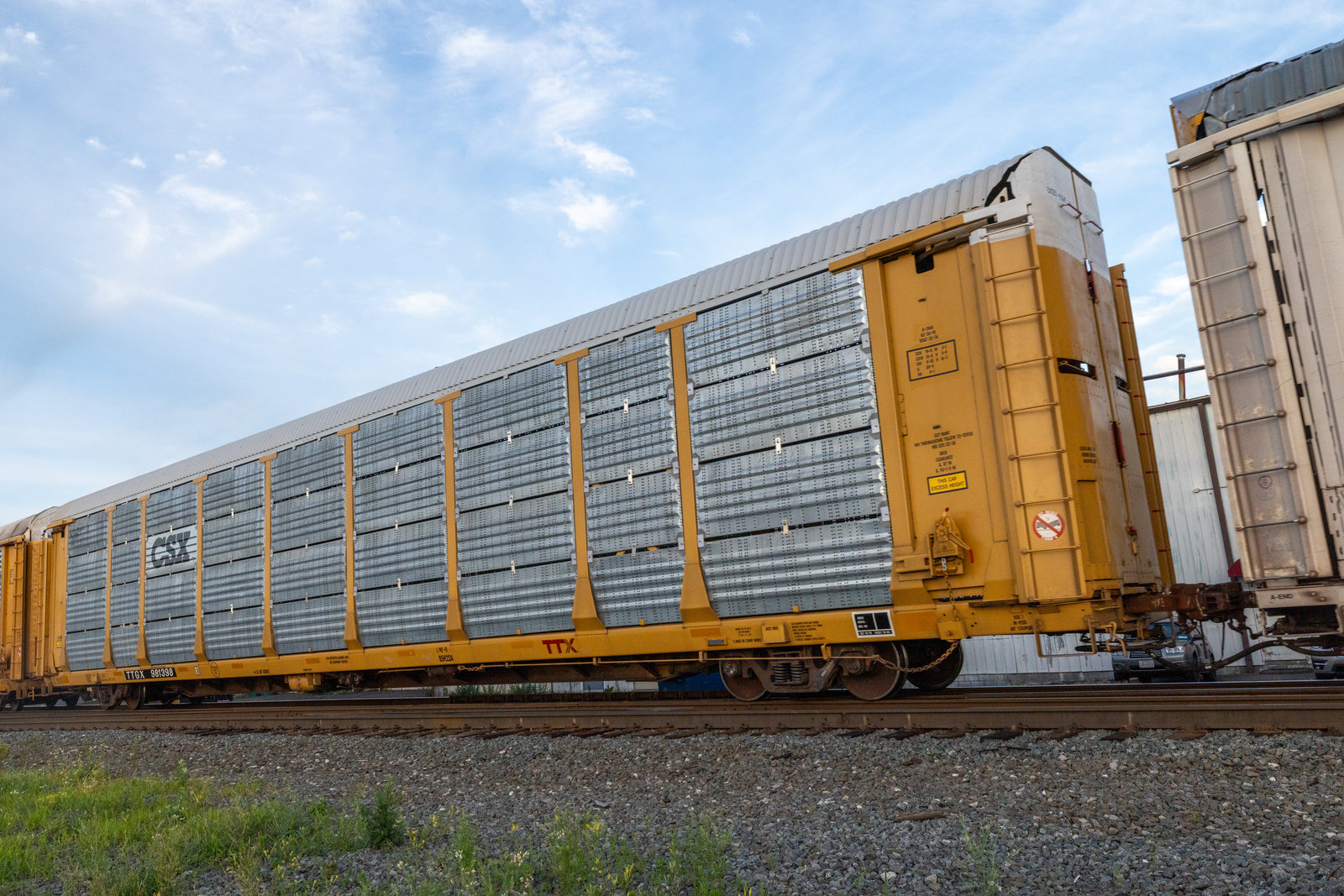 TTGX 981398