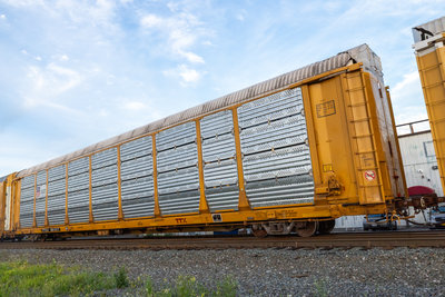 TTGX 981317