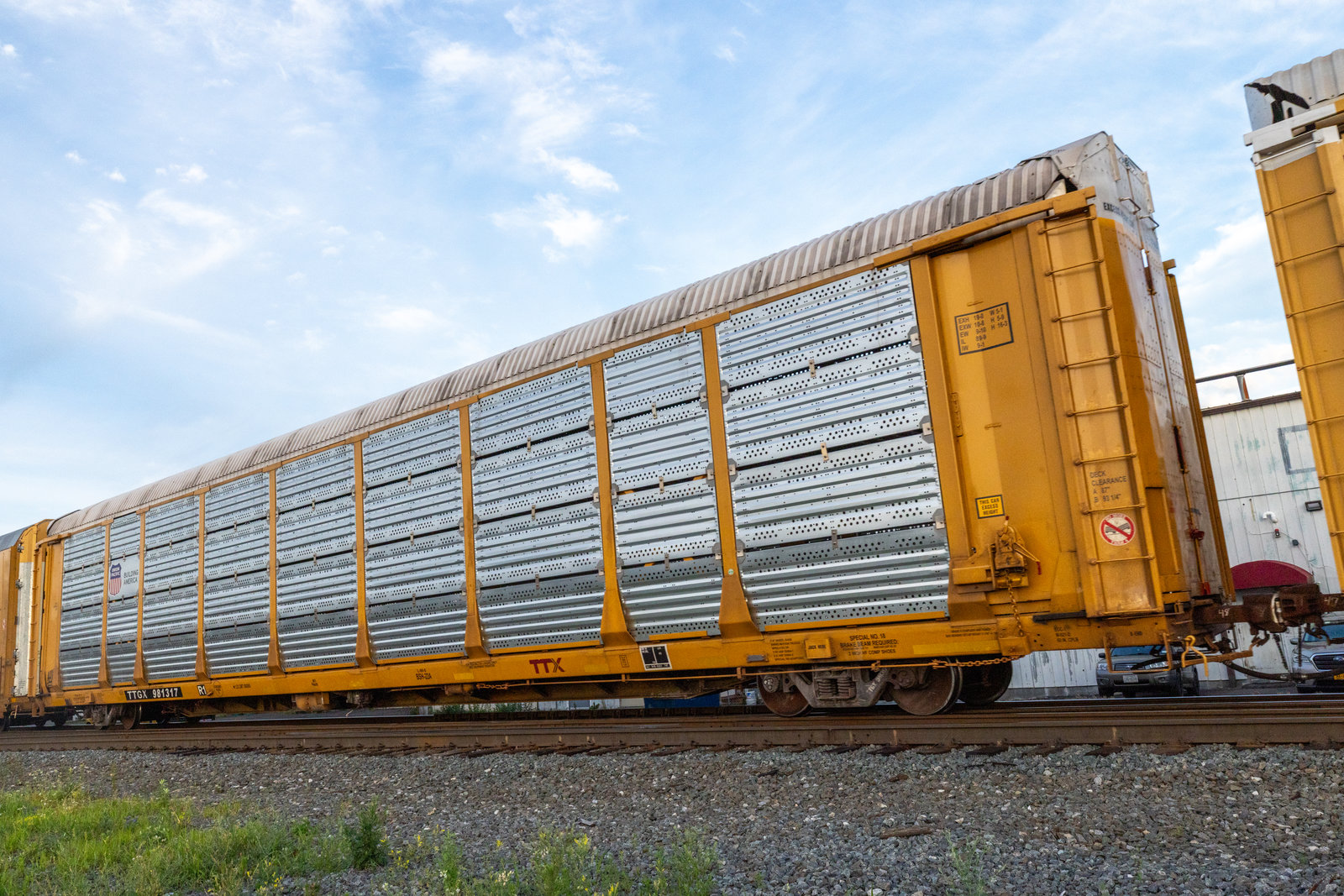 TTGX 981317