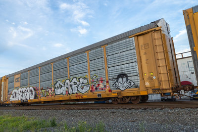 TTGX 987211