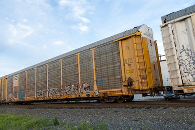 TTGX 985577