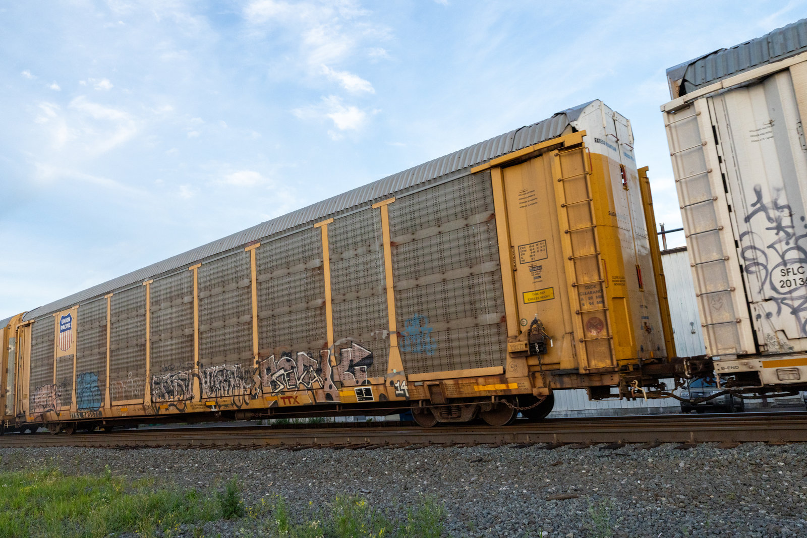 TTGX 985577
