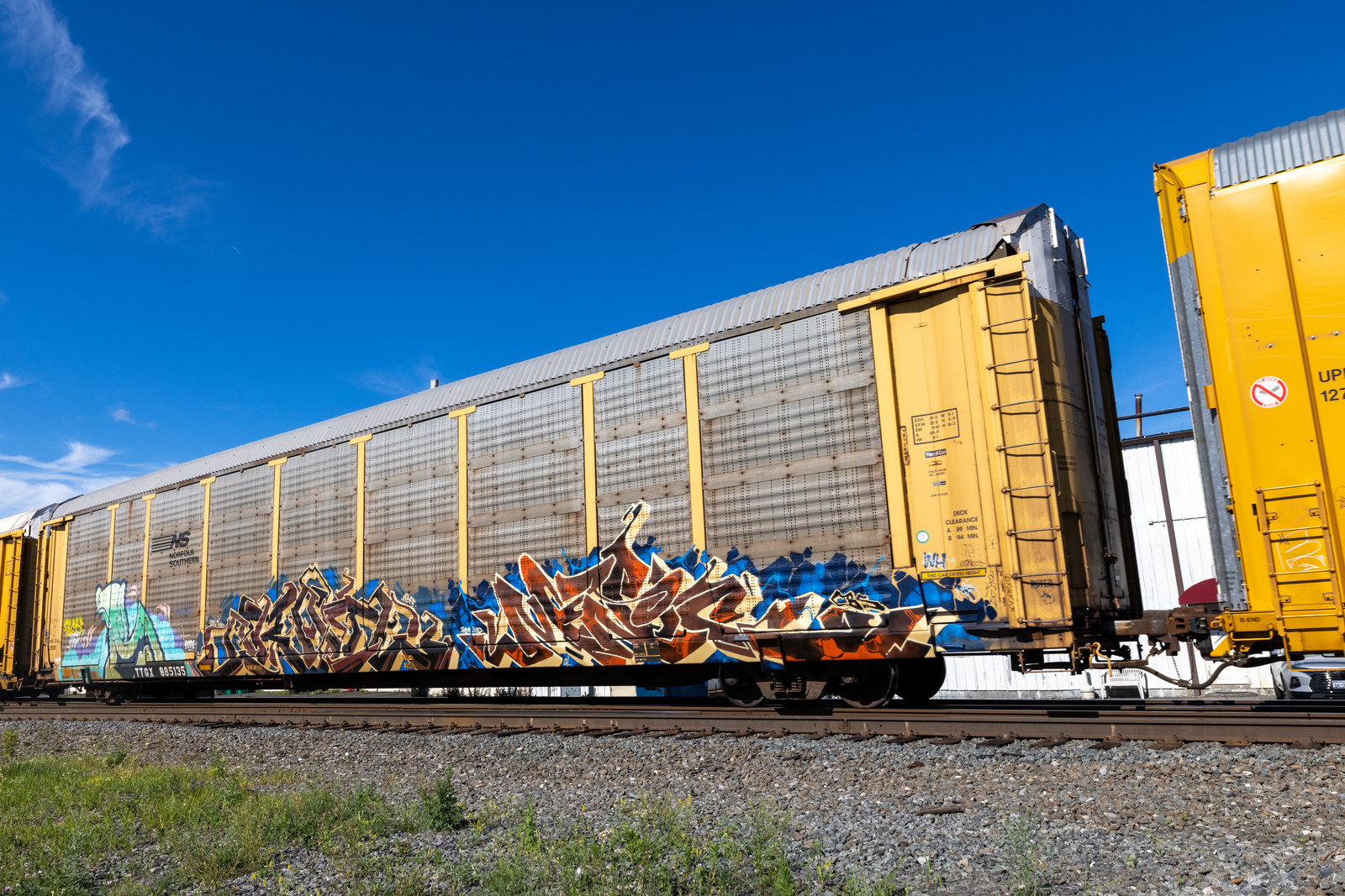 TTGX 985135