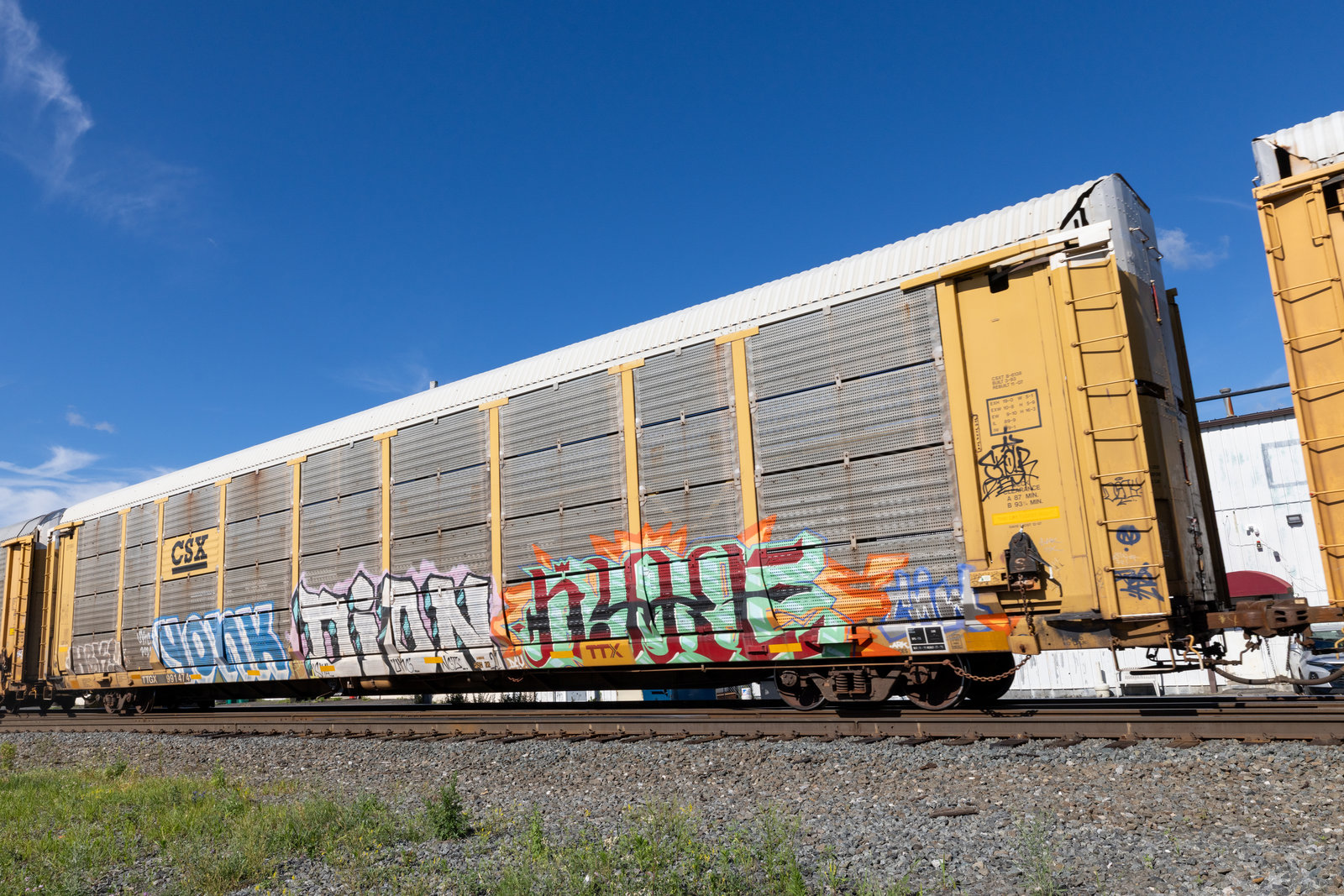 TTGX 991474