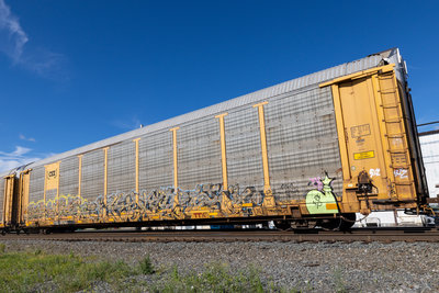 TTGX 987841