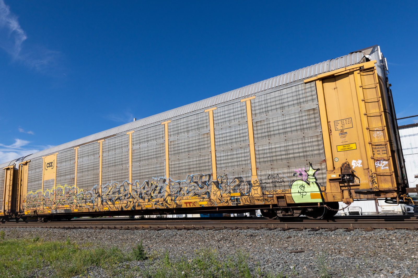 TTGX 987841