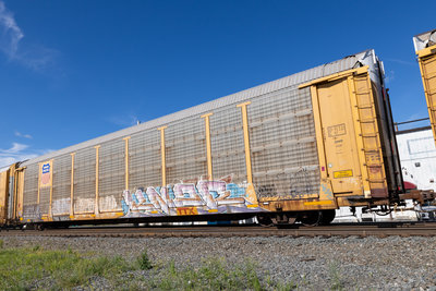 TTGX 995437