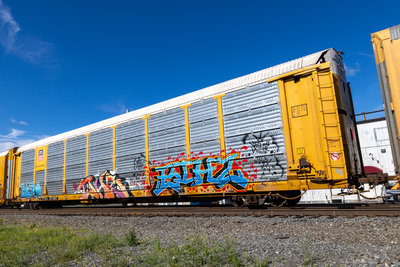 TTGX 971267