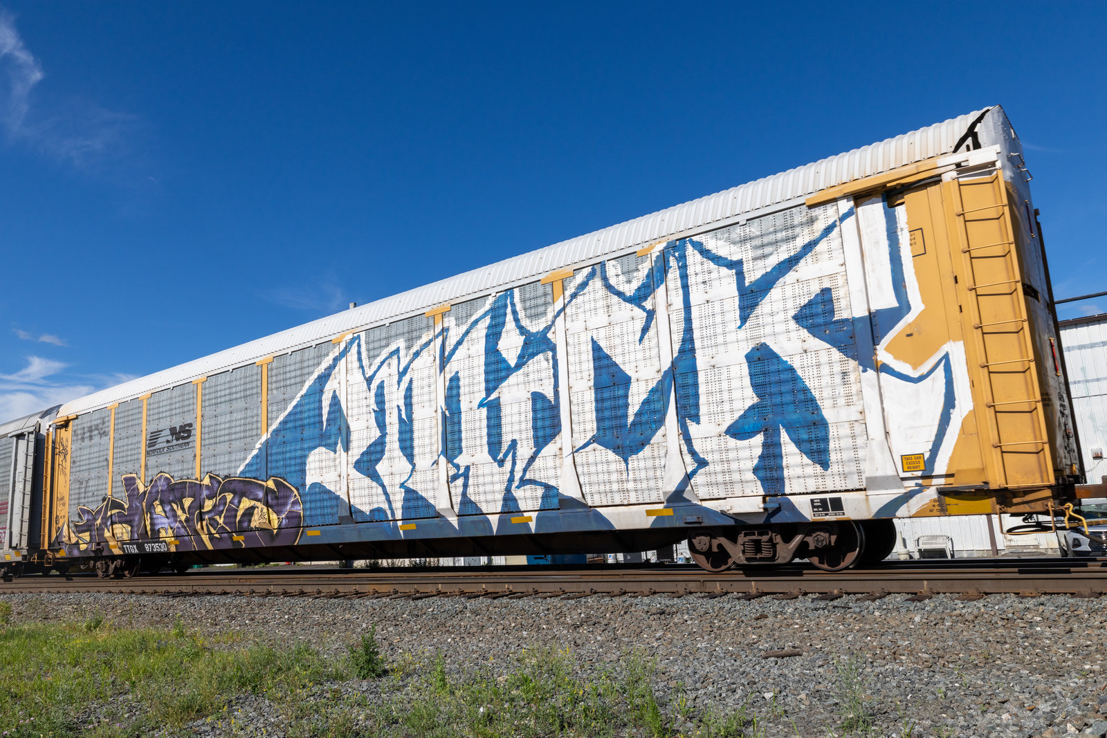 TTGX 973530