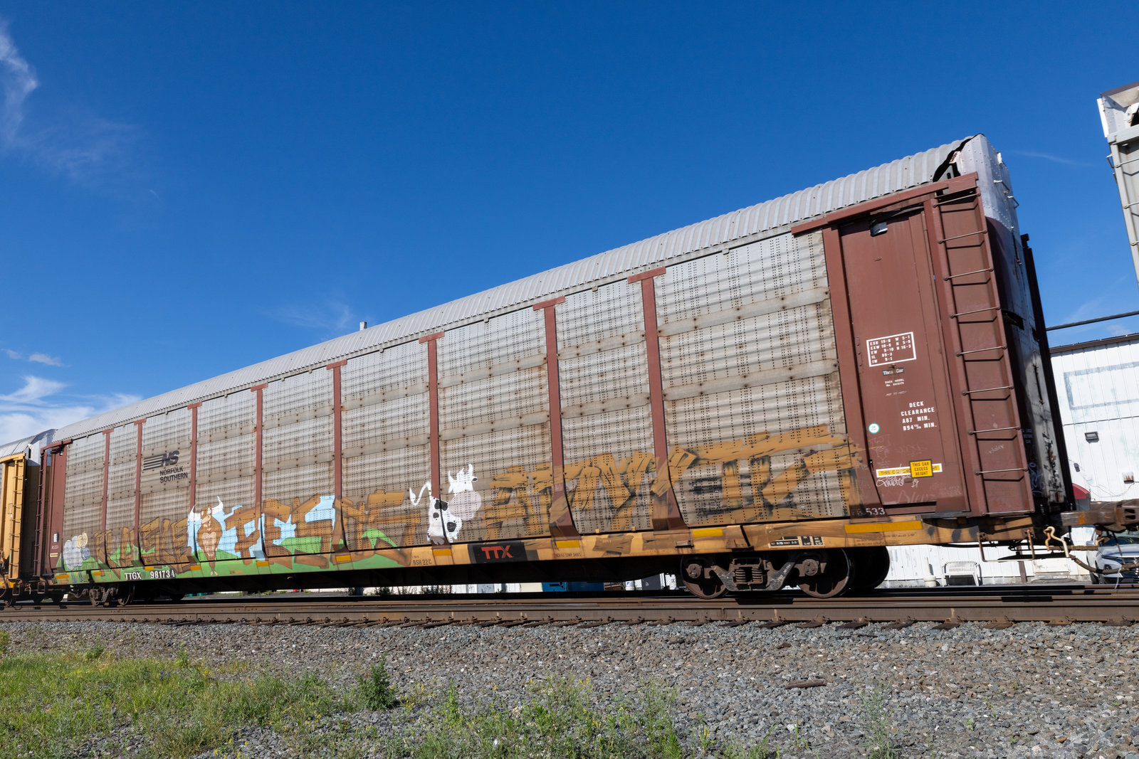 TTGX 981734