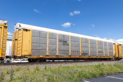 TTGX 254058