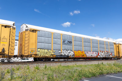 TTGX 975426