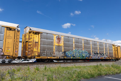TTGX 963609