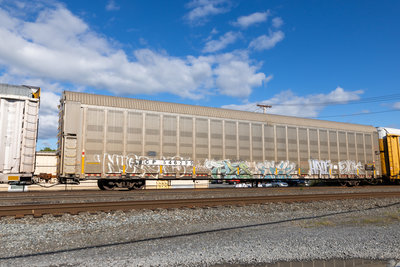 CP 546299