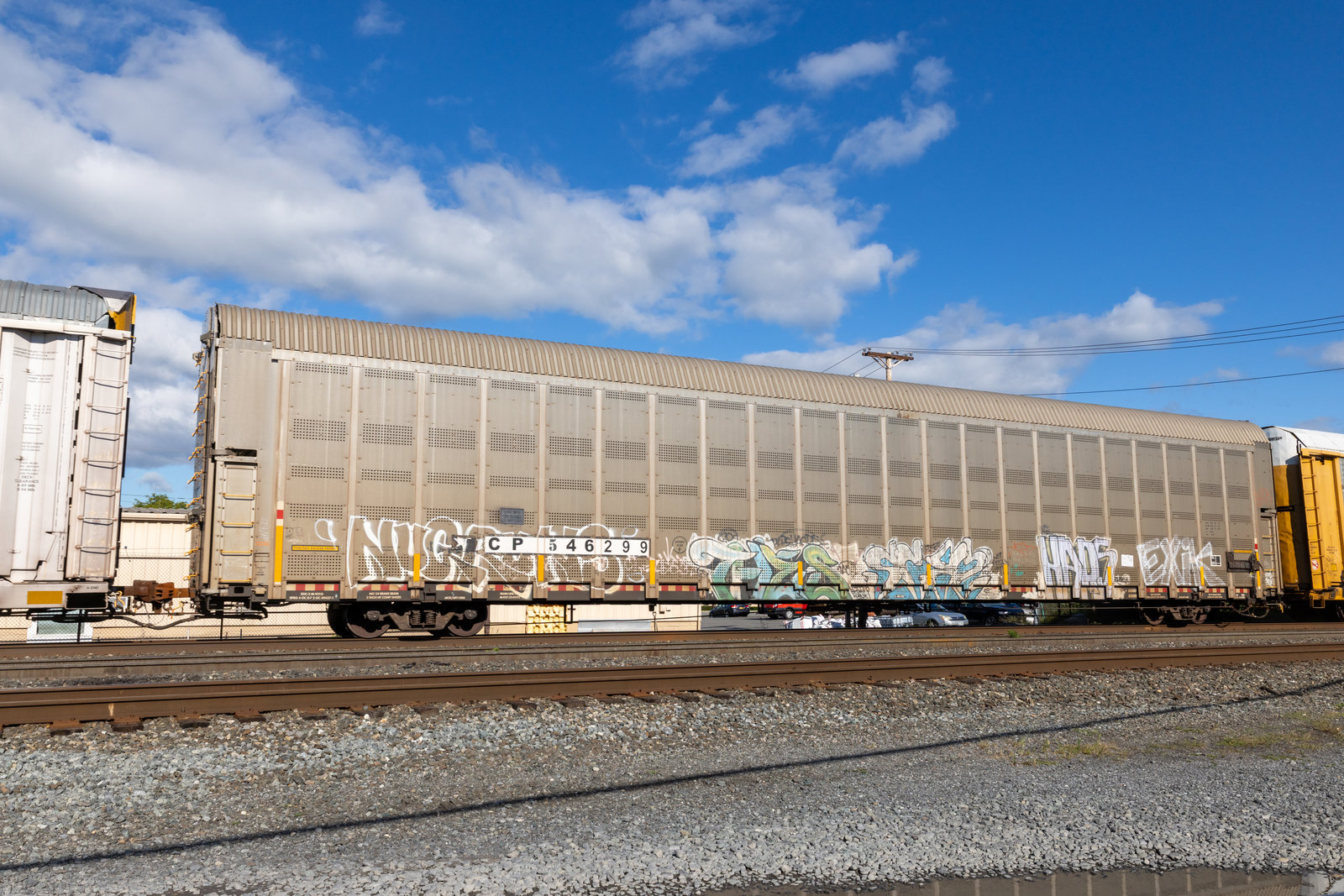 CP 546299