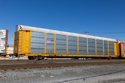 TTGX 973562