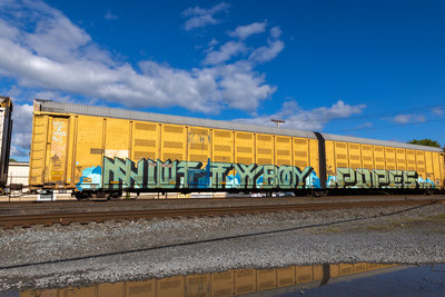 FXE 210010