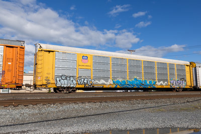TTGX 982528