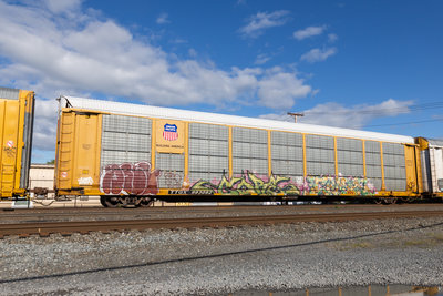 TTGX 993092