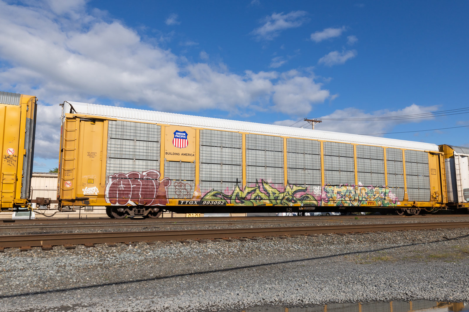 TTGX 993092