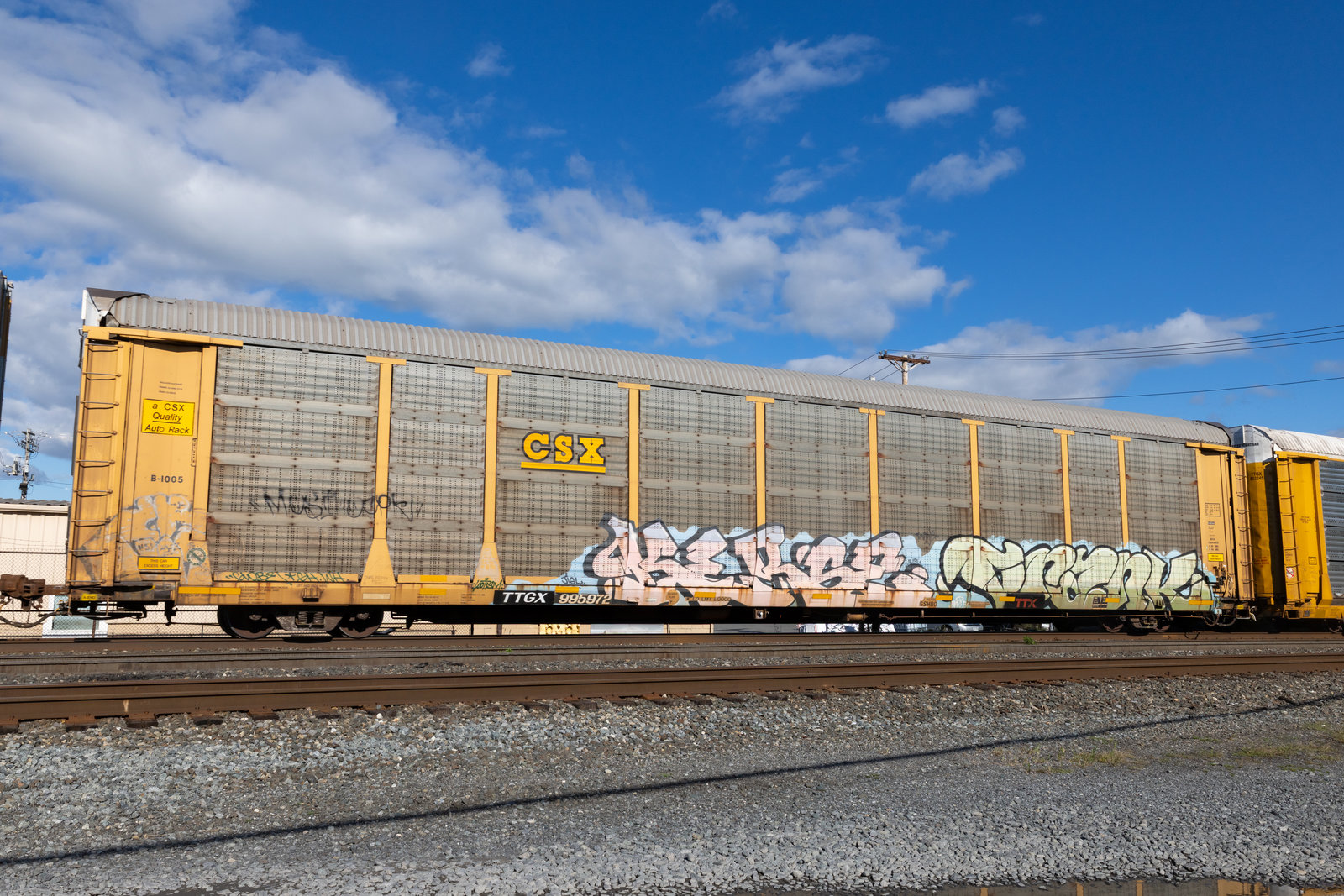 TTGX 995972