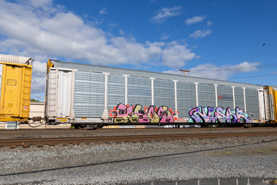 SFLC 308313