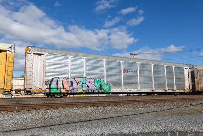 SFLC 307101